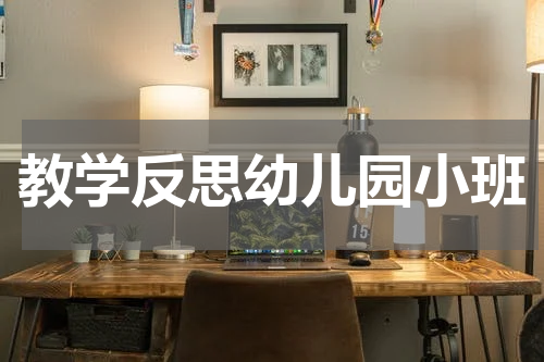 教学反思幼儿园小班