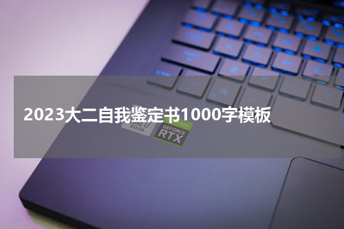 2023大二自我鉴定书1000字模板
