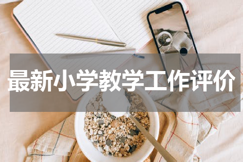 最新小学教学工作评价