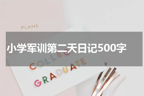 小学军训第二天日记500字