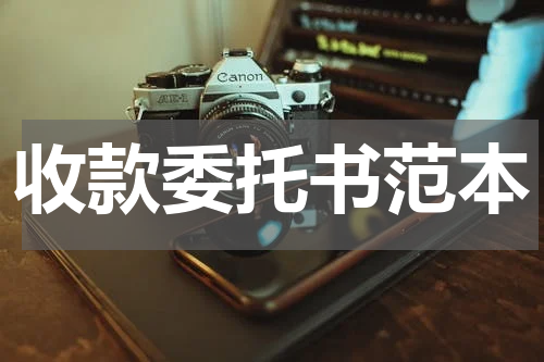 收款委托书范本