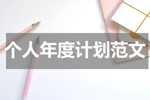 个人年度计划范文