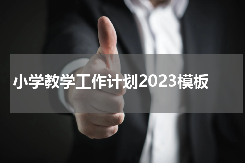 小学教学工作计划2023模板