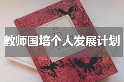 教师国培个人发展计划