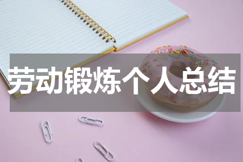 劳动锻炼个人总结