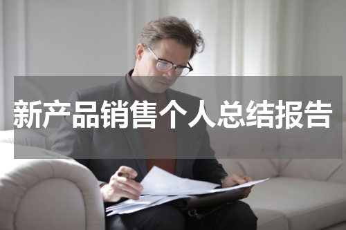 新产品销售个人总结报告