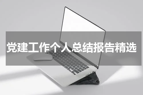 党建工作个人总结报告精选