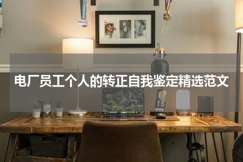 电厂员工个人的转正自我鉴定精选范文