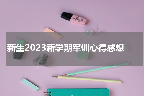 新生2023新学期军训心得感想