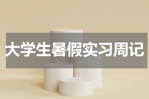 大学生暑假实习周记