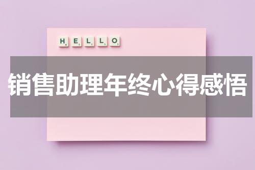 销售助理年终心得感悟