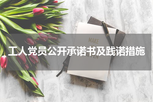 工人党员公开承诺书及践诺措施