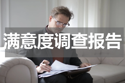 满意度调查报告