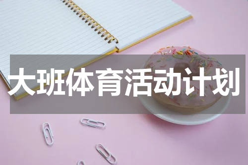 大班体育活动计划