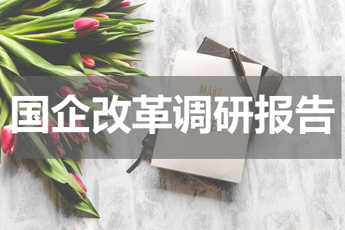 国企改革调研报告