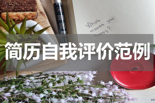 简历自我评价范例