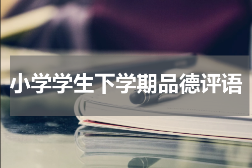 小学学生下学期品德评语
