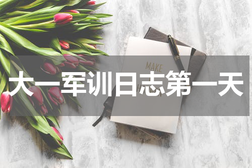 大一军训日志第一天