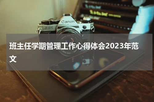 班主任学期管理工作心得体会2023年范文