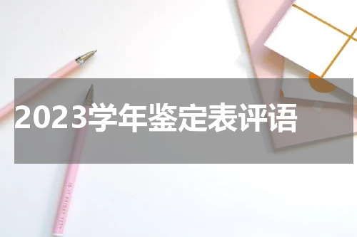 2023学年鉴定表评语
