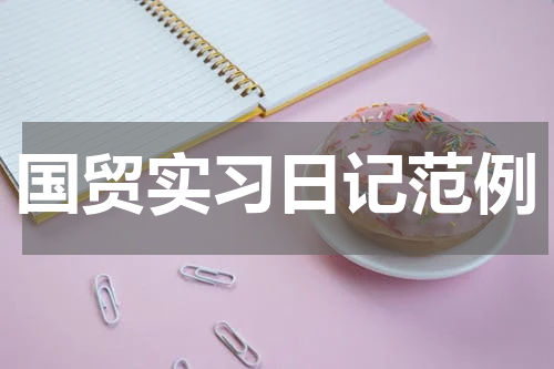 国贸实习日记范例