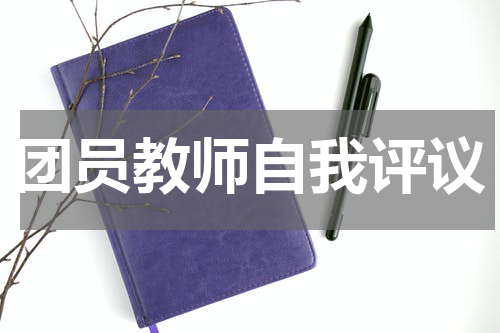 团员教师自我评议