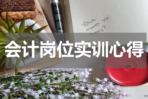 会计岗位实训心得