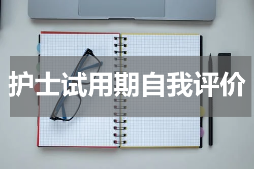 护士试用期自我评价