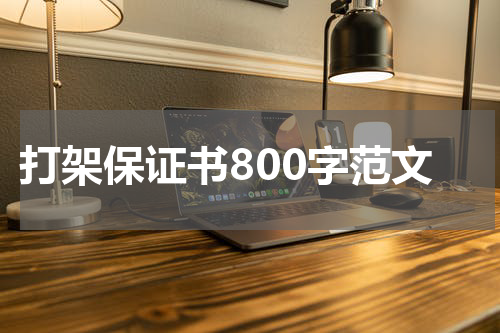 打架保证书800字范文