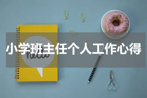 小学班主任个人工作心得