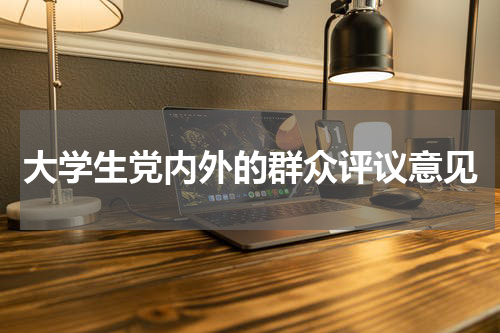 大学生党内外的群众评议意见