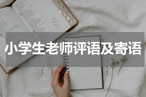小学生老师评语及寄语