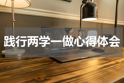 践行两学一做心得体会