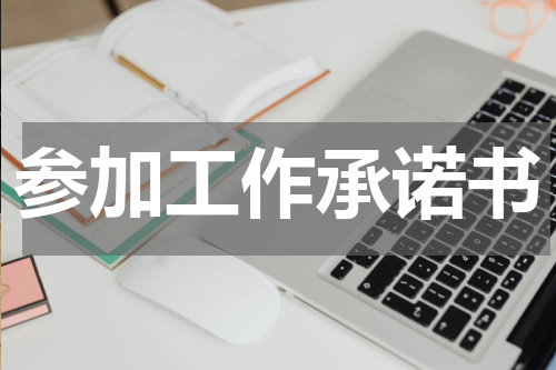 参加工作承诺书