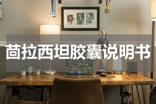 茴拉西坦胶囊说明书