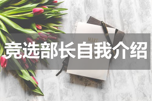 竞选部长自我介绍