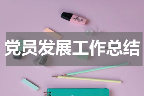 党员发展工作总结