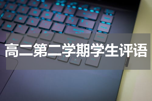 高二第二学期学生评语