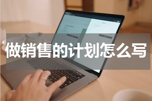 做销售的计划怎么写