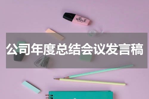 公司年度总结会议发言稿
