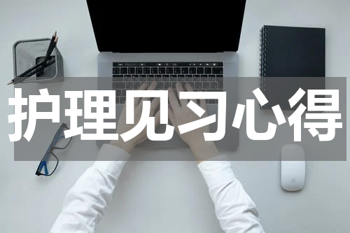 护理见习心得