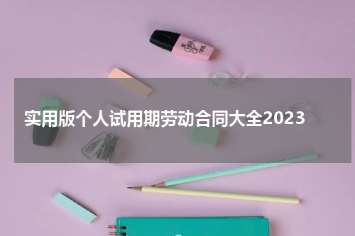 实用版个人试用期劳动合同大全2023