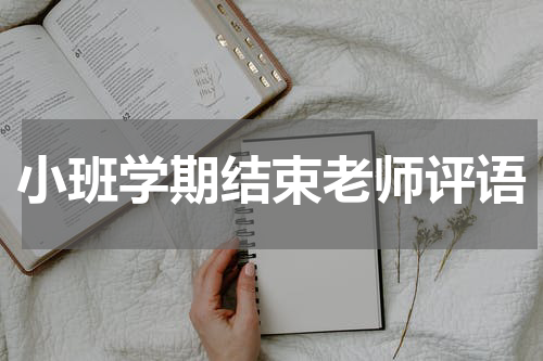 小班学期结束老师评语