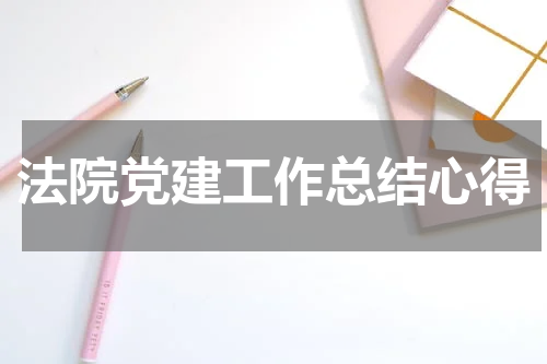 法院党建工作总结心得