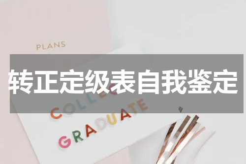 转正定级表自我鉴定