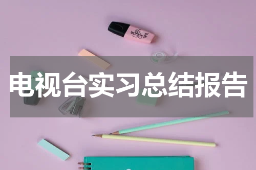电视台实习总结报告