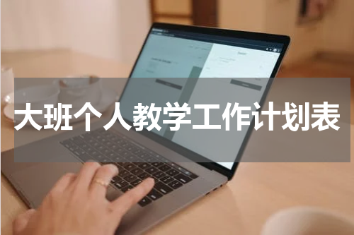 大班个人教学工作计划表