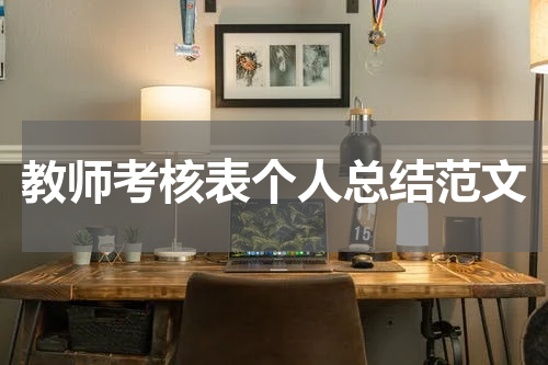 教师考核表个人总结范文