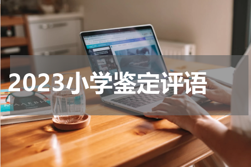 2023小学鉴定评语