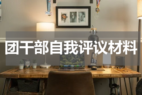 团干部自我评议材料